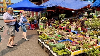 Sa Pa Market - a cultural mosaic in the heart of the misty highlands
