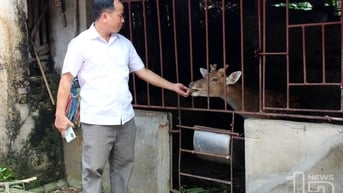 Đầu tư trên 4,5 tỷ đồng thực hiện các dự án giảm nghèo