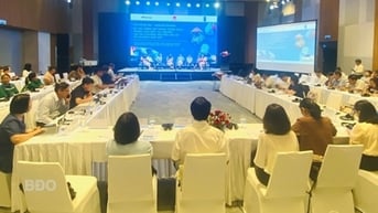 Dự án quản lý rác thải do Na Uy tài trợ tạo chuyển biến rõ nét tại Bình Định