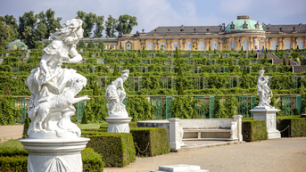 ស្វែងយល់ពីវិមាន Sanssouci - ស្នាដៃដ៏ចម្លែករបស់ប្រទេសអាល្លឺម៉ង់