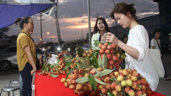 “Tuần lễ vải thiều Lục Ngạn” tại khu công nghiệp tỉnh Bắc Giang