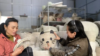 Dạy nghề miễn phí cho phụ nữ, người khuyết tật để thoát nghèo