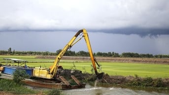 Chủ động bảo vệ cây trồng,vật nuôi trong mùa mưa bão