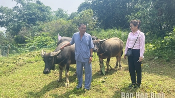 Huyện Mai Châu: Chuyển mình từ đồng vốn nghĩa tình