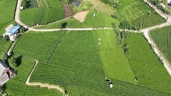 4 huyện về đích nông thôn mới
