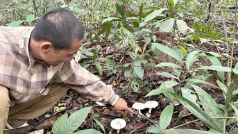 Săn sản vật núi rừng