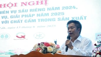 Sầu riêng Đắk Lắk chủ động nói không với chất cấm