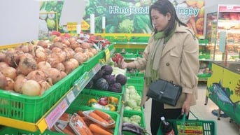 Triển khai Chương trình “Tháng khuyến mại tập trung quốc gia 2025 – Vietnam Grand Sale 2025”