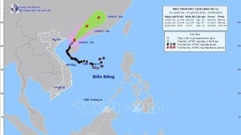 Bão số 1 giảm cấp, giật cấp 11 hướng về khu vực tỉnh Quảng Đông (Trung Quốc)