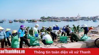 “Nghi Sơn xanh” - từ hành động hợp tác của cộng đồng