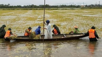 Thời tiết hôm nay 14/6: Miền Trung nắng lại sau mưa bão, miền Bắc mưa rào