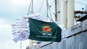 Lộc Trời (LTG) giải trình về việc cổ phiếu bị hạn chế giao dịch
