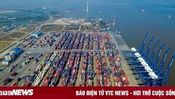 Nam Định 'chốt' đầu tư cảng 3.400 tỷ đồng lớn nhất tỉnh