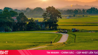 Podcast tản văn: Hương quê