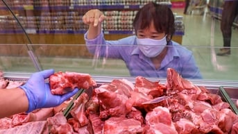 Giá thịt heo hôm nay 14/6: Ổn định ngày cuối tuần
