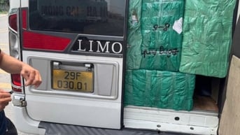 Buộc tiêu hủy gần 400 hộp thực phẩm chức năng không rõ nguồn gốc xuất xứ