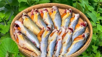 Mùa cá chốt