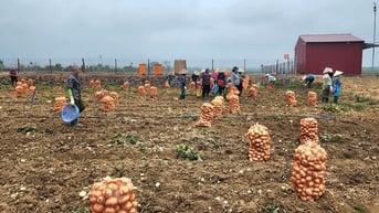 Chính sách sát thực tiễn để thu hút đầu tư vào nông nghiệp