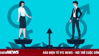 Bộ chỉ số Bình đẳng giới trong khu vực công tại Việt Nam