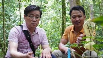 Đánh thức tiềm năng du lịch ở vùng sâm Ngọc Linh