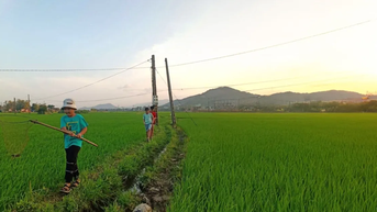 Hè về