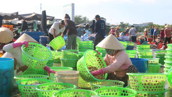 Vẻ đẹp ngày mới ở cảng cá Phan Thiết