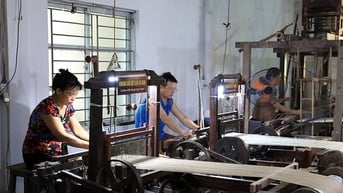 Phát triển sản phẩm OCOP từ vùng chuyên canh của hợp tác xã: