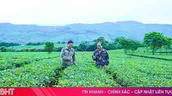 Cấp mã số vùng trồng - "chìa khóa" chuẩn hóa sản xuất nông sản Hà Tĩnh