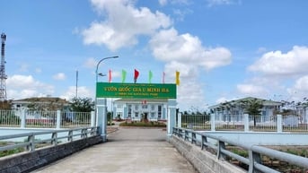 Hợp nhất Cà Mau, Bạc Liêu: Ban Chấp hành Đảng bộ tỉnh mới có 61 ủy viên