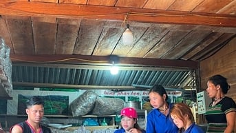 Tây Giang phát triển sản phẩm OCOP từ thế mạnh dược liệu