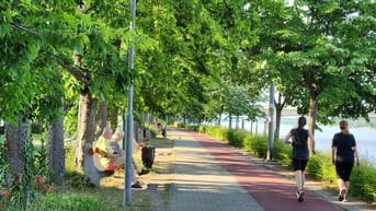 Tận mắt chiêm ngưỡng sự bình yên bên dòng sông Danube xanh