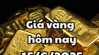 Giá vàng hôm nay 15/6/2025: Giá vàng trong nước dùng ở mốc 120,3 triệu đồng/lượng