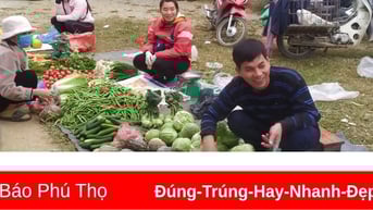 Giá cả thị trường ngày 15/6/2025