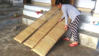 Người dân đội 9 hồi sinh nghề đan mò o truyền thống