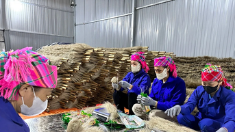 Mở rộng "cánh cửa" thị trường OCOP