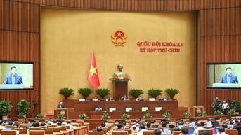 Nhiều chính sách ưu đãi, hỗ trợ của Nhà nước để phát triển đường sắt