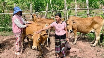 Để miền núi chuyển mình