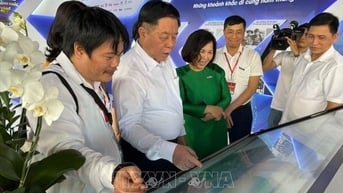 Hộ kinh doanh đóng cửa hàng loạt: Do hóa đơn điện tử hay từ hàng hóa không rõ xuất xứ?