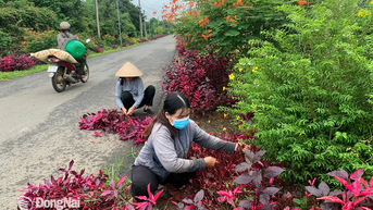 Huy động hơn 35 ngàn tỷ đồng xây dựng nông thôn mới
