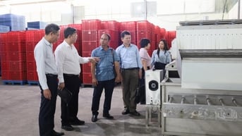 Cần có giải pháp để nhân rộng kết quả các dự án, đề tài nghiên cứu khoa học sau nghiệm thu