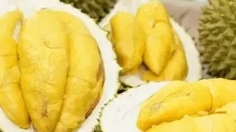 Sầu riêng đông lạnh Việt "rộng đường" vào Trung Quốc
