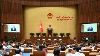 Bổ sung 23 cơ chế, chính sách đặc thù để đầu tư phát triển hệ thống đường sắt