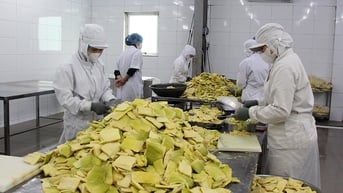 Yên Bái có 126 doanh nghiệp kinh doanh lĩnh vực nông nghiệp