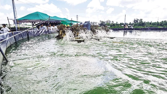 គាំទ្រការផលិត និងអភិវឌ្ឍន៍កសិកម្មប្រកបដោយគុណភាពខ្ពស់