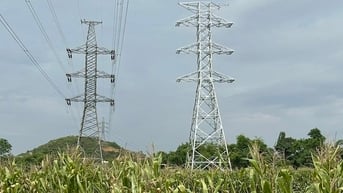 Đẩy nhanh tiến độ cụm dự án truyền tải điện phục vụ nhập khẩu điện từ Lào