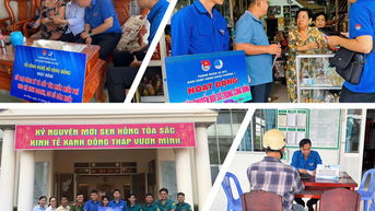 Đồng Tháp ghi nhận lượng tên miền .vn tăng trưởng gấp 40 lần