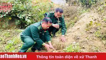 Bảo vệ môi trường đất: Vấn đề cần quan tâm