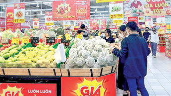 Tập trung các giải pháp thu ngân sách nhà nước