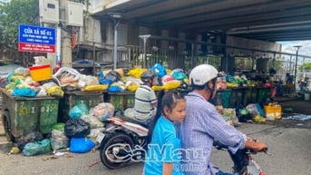 TP Cà Mau tồn đọng 70 tấn rác do nhà máy ngưng hoạt động chờ đơn giá mới