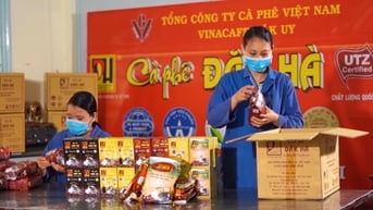 Doanh nghiệp phấn khởi với chính sách giảm thuế giá trị gia tăng